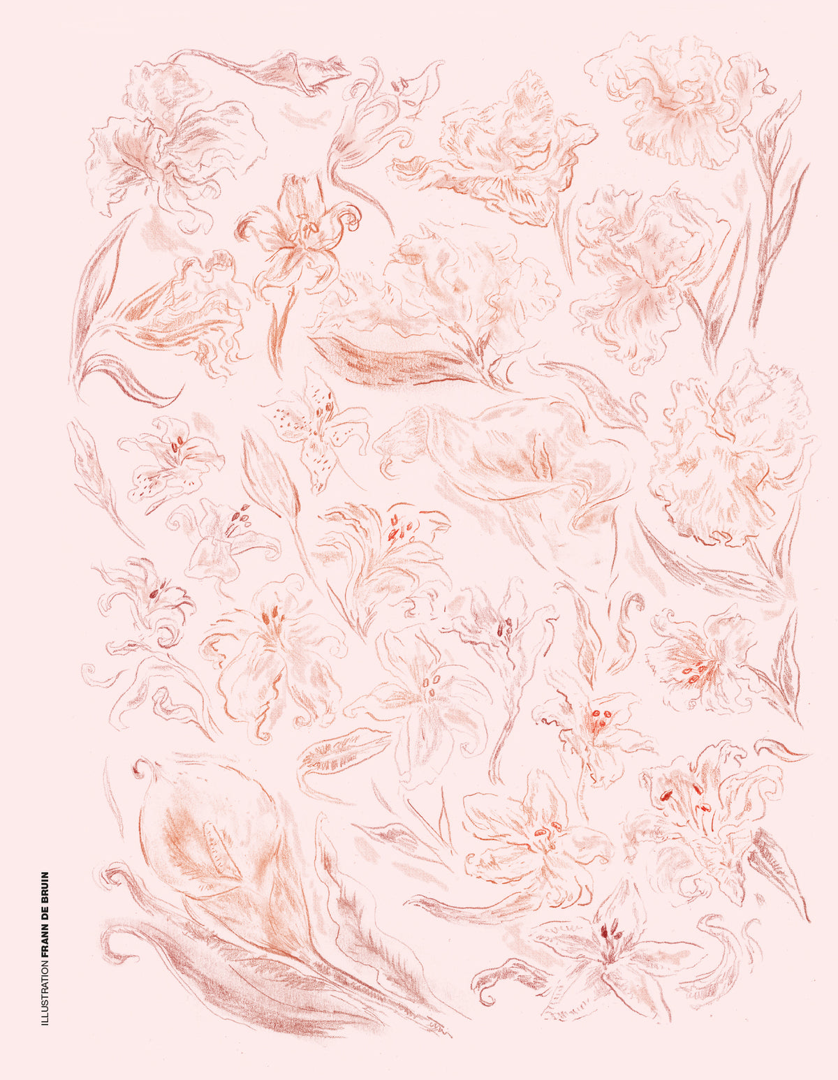 Flow Book for Paper Lovers 14